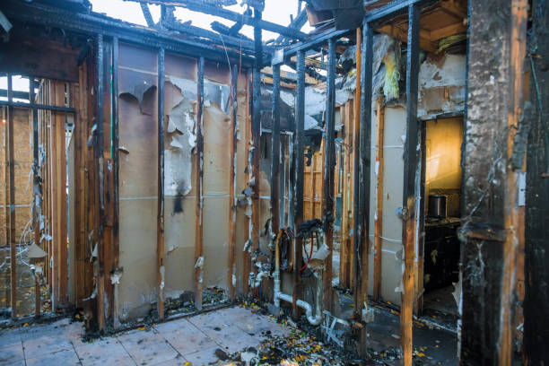 Professional Fire Damage Removal technician working in Quinnipiac University, CT